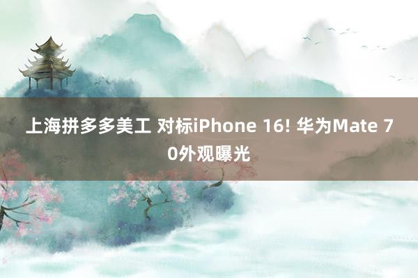 上海拼多多美工 对标iPhone 16! 华为Mate 70外观曝光